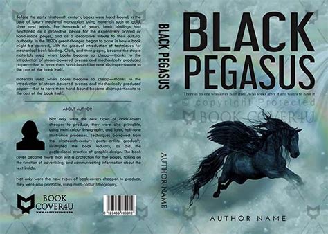 Fantasy Book cover Design - Black Pegasus