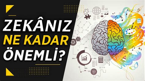 Iq Ve Zek Hakk Nda Bilmeniz Gerekenler Youtube