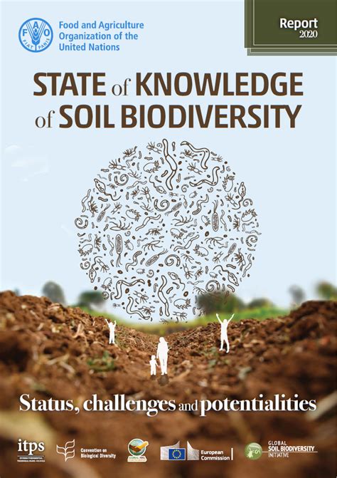 Global Soil Biodiversity Initiative