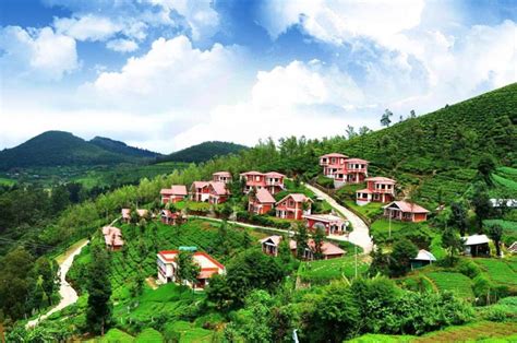 Mysore And Ooty Special Tour 88908holiday Packages To Mysore Ooty