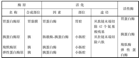 代谢的调节解读生命化学挂云帆