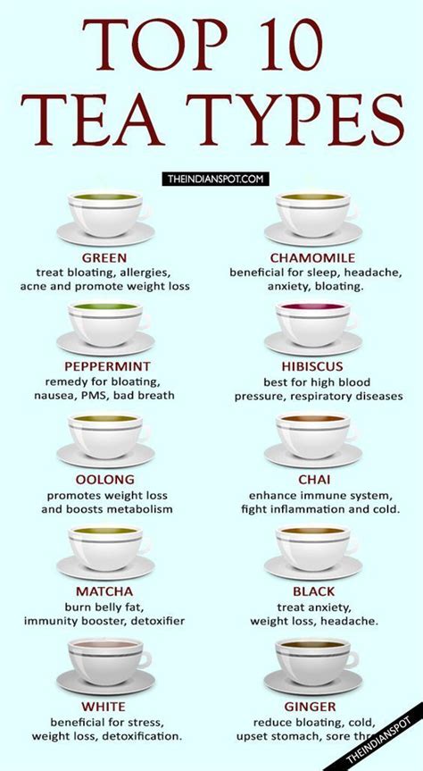 Top 10 Types Of Teas And Their Benefits