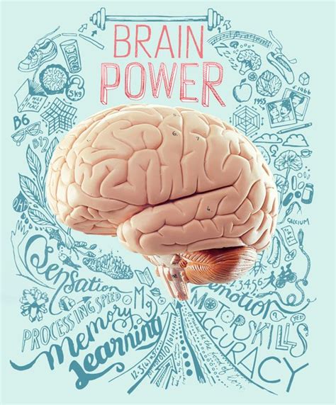 Brain Power By Sarah Jane Coleman Via Behance Brain Illustration