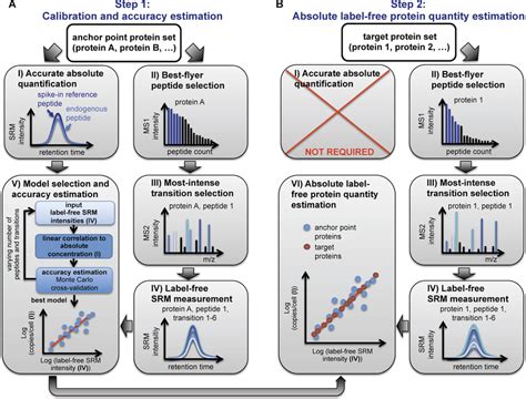 Schematic Workflow Of Absolute Label Free Protein Abundance Estimation Download Scientific