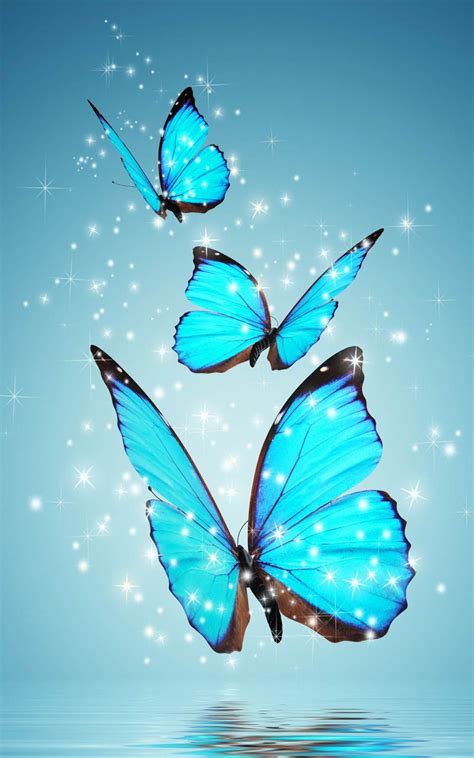 Magical Butterfly Wallpapers - Wallpaper Cave