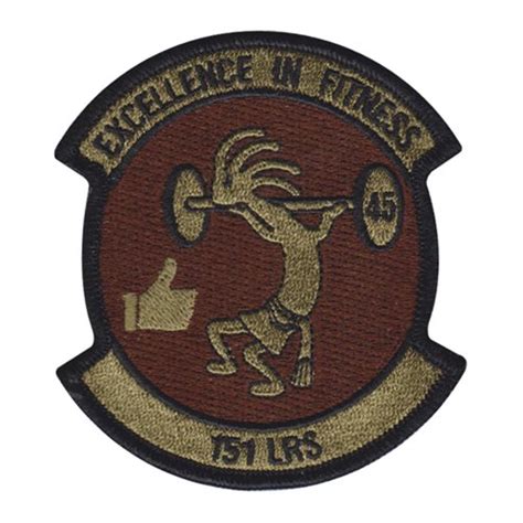 Lrs Physical Fitness Award Ocp Patch St Logistics Readiness