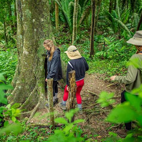 Best Time to Visit The Belize Jungle: Weather, Wildlife & More