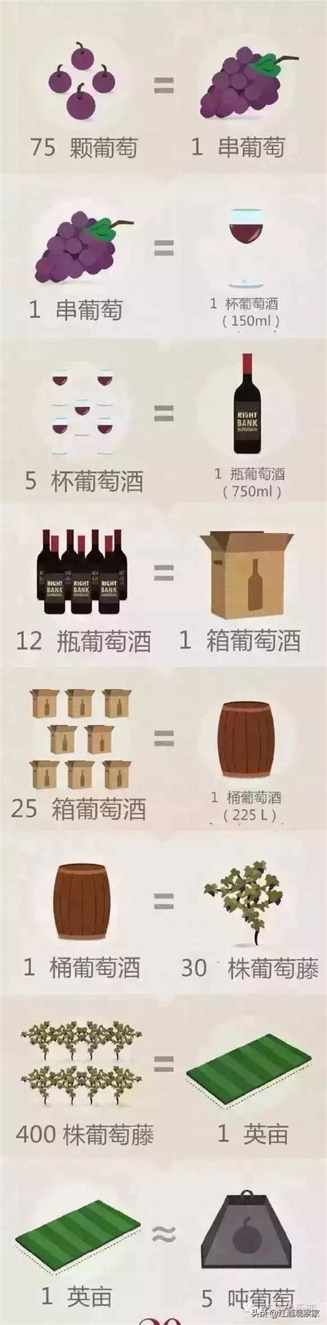 你知道釀一瓶葡萄酒需要多少葡萄嗎？ 每日頭條