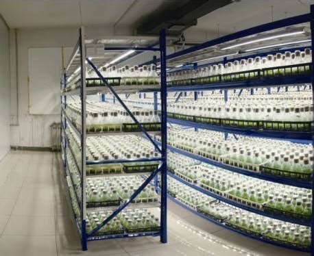 Tissue culture laboratory equipment list - 【WUBOLAB】