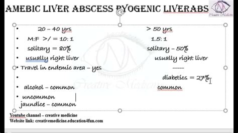 Lec 6 Amoebic Liver Abscess Vs Pyogenic Liver Abscess Youtube