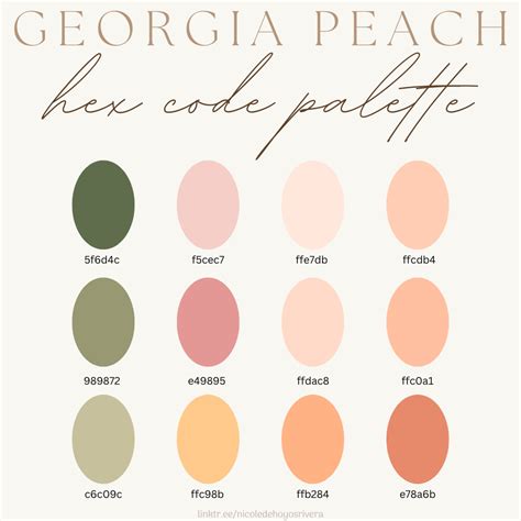 Georgia Peach Color Palette With Hex Codes And Instructions Color