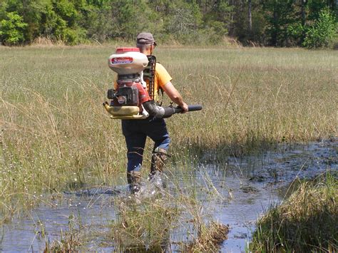 Larviciding Citrus County Mosquito Control District