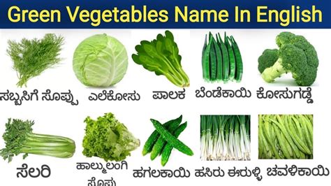 Vegetables Names In English