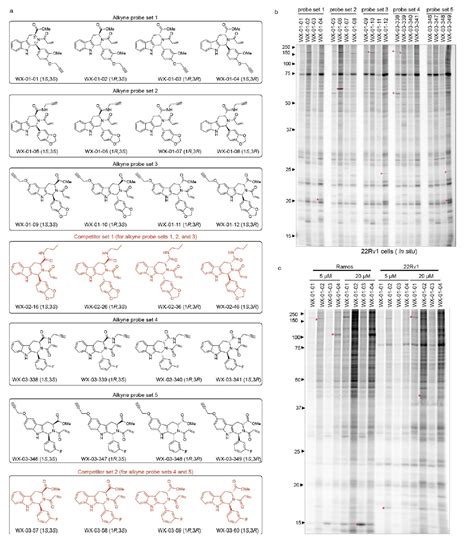 Covalent Modifiers: Comprehensive Mapping of Electrophilic Small ... 