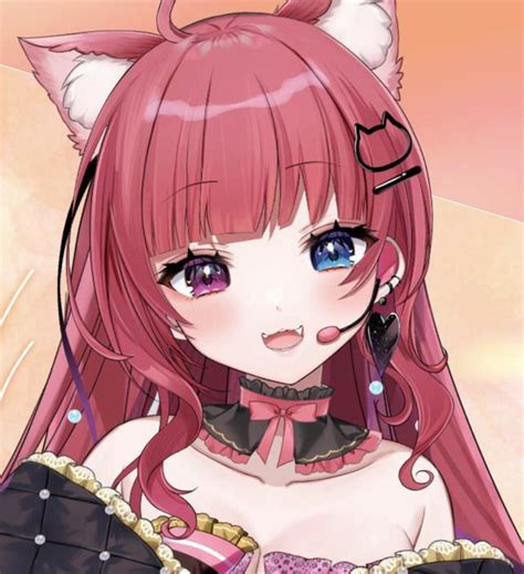 新人アイドルvtuber愛猫はにゃさんのことなんでも 愛猫はにゃクイズ🩷🐈🩵10問 Vtuber 新人vtuber