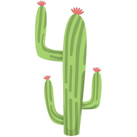 Cactus Saguaro Png Ilustraciones 23271280 PNG