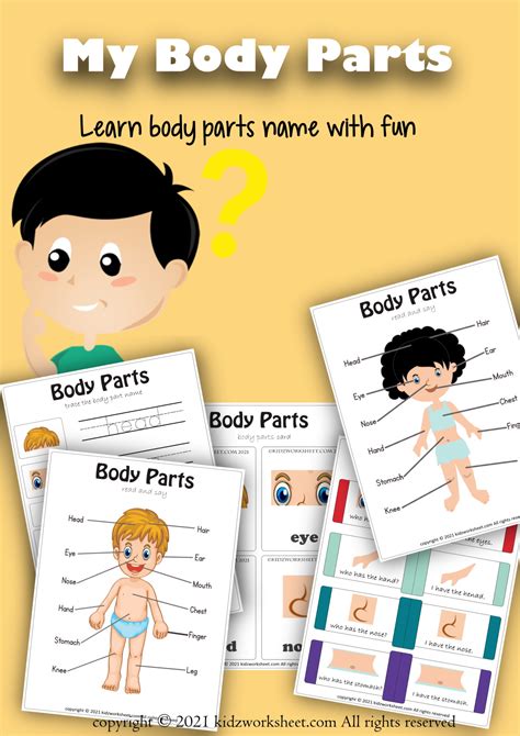 Body Diagram For Kids