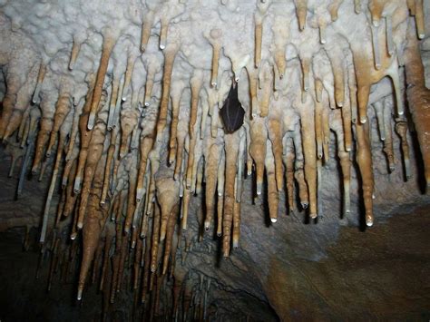 White Scar Cave Kirkby Lonsdale North West Adrenaline Out And