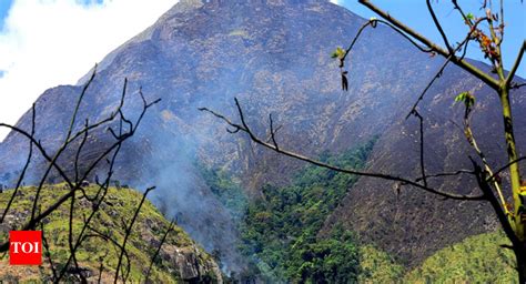 tamil nadu: Tamil Nadu forest department ignored initial alerts ...