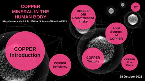 Copper Mineral In The Body By Khrystyna Arabchuk On Prezi