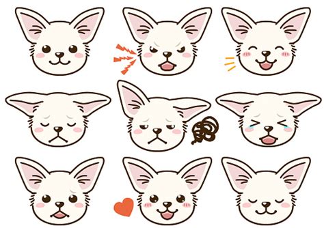 Chihuahua With Various Facial Expressions Stock Illustration - Download Image Now - iStock