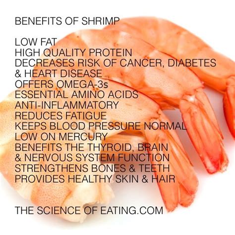 Seafood Provides Protein And A Wide Variety Of Vitamins And Minerals