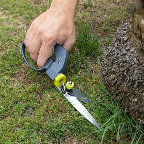 Buy Rhs Burgon And Ball Single Handed Grass Shears Delivery By Crocus