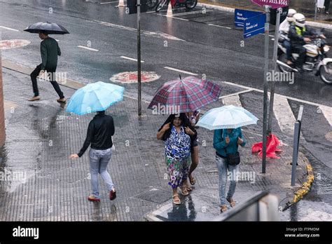 Pessoas Se Protegendo De Chuva Guarda Chuva Stock Photo Alamy