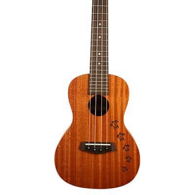 Islander Mc Hns Traditional Concert Ukulele W Mahogany Top Reverb