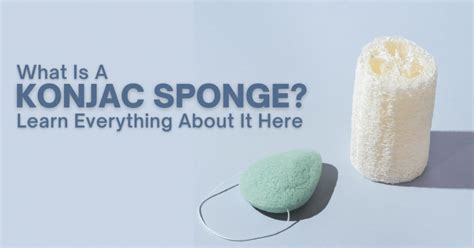 What Is Konjac Sponge And Its Benefits