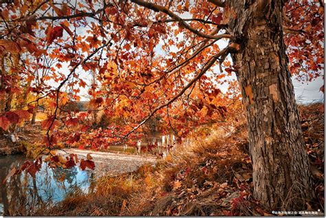 Otoño Total Antonio Zamora Flickr