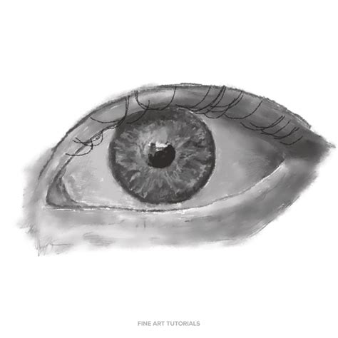 Eye Drawing Step By Step Tutorial