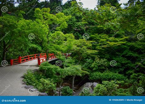 Bridge in a Japanese Garden Stock Image - Image of park, japan: 195063009