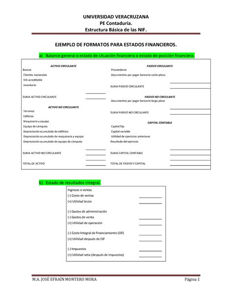 Formato De Estados Financieros Según Las Nif 2022 Universidad