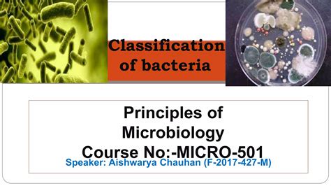 CLASSIFICATION OF BACTERIA | PPT