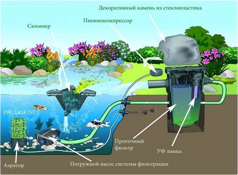 Фильтр для пруда: для насоса своими руками, воды с рыбой, от ила ...