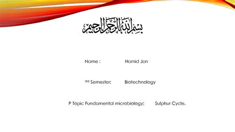 SOLUTION Presentation Sulphur Cycles Introduction Microbiology