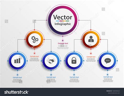 Business Hierarchy Organogram Chart Infographics Corporate Stock Vector ...