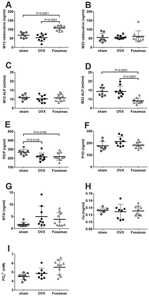 The Concentrations Of Osteoblast And Osteoclast Indicators Calcium And Download Scientific