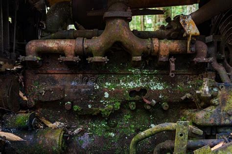 Close Up Of An Old Rusty And Mossy Car Engine Stock Photo Image Of