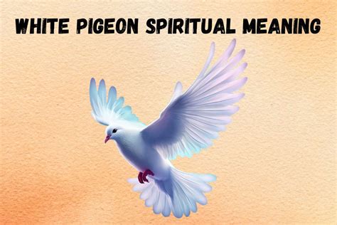 White Pigeon Spiritual Meaning and Symbolism (+Totem & Spirit) | What ...