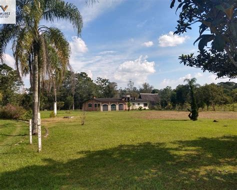 Rurais à venda 4 Quartos Suzano R 1 500 000 33000 m2 ID