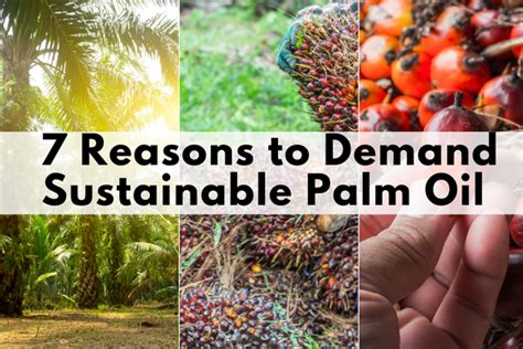 Epic Reasons To Choose Palm Done Right And Demand Sustainable Palm