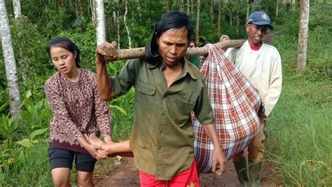 Miris Ibu Hamil Digotong Pakai Sarung Di Jalan Rusak Detak24