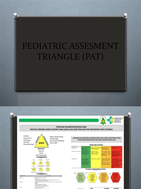 Pediatric Assesment Triangle (Pat) | PDF