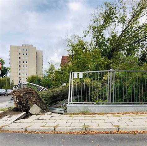 Wieje wicher strażacy wyjechali już 210 razy Wyrwane drzewa