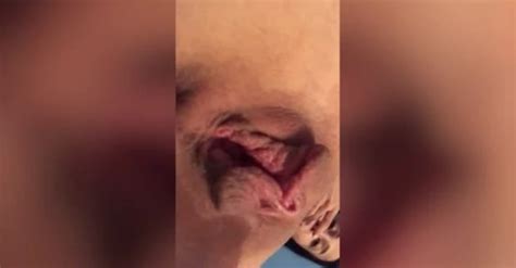 Free Roast Beef Pussy Porn Videos XHamster