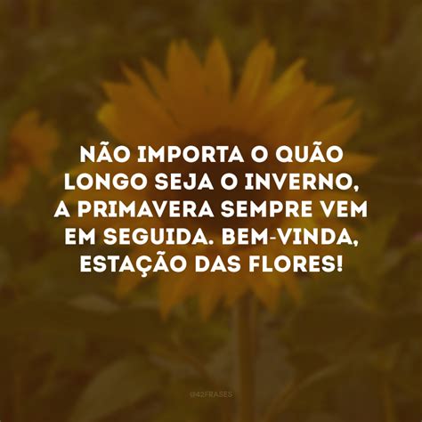 Frases De Bem Vinda Primavera Para Se Renovar Como As Flores