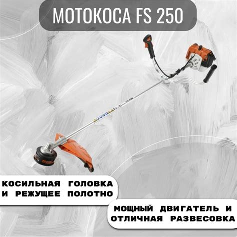 Stihl Fs