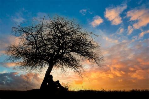 Premium AI Image Depressed Man Sitting Alone Under The Sunset